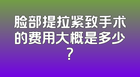 脸部提拉紧致手术的费用大概是多少？