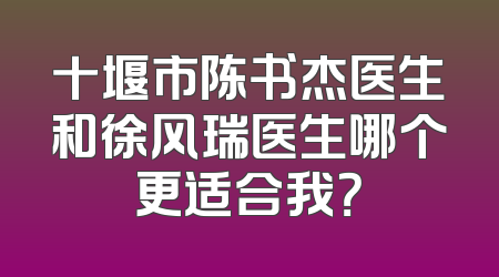 十堰市陈书杰医生和徐风瑞医生哪个更适合我？