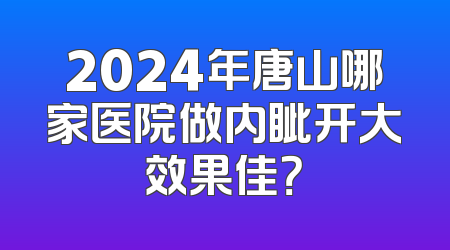 2024年唐山哪家医院做内眦开大效果佳？