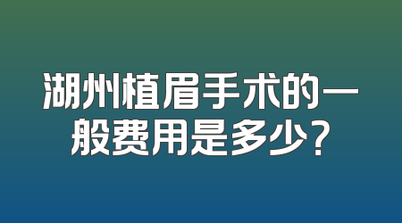 湖州植眉手术的一般费用是多少？