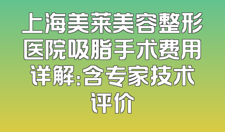 上海美莱美容整形医院吸脂手术费用详解：含专家技术评价