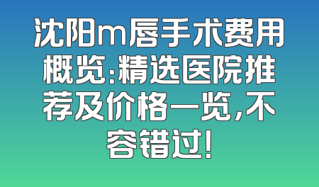 沈阳m唇手术费用概览：精选医院推荐及价格一览，不容错过！