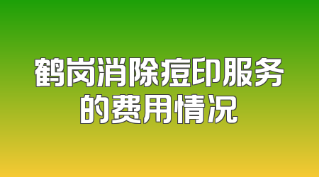 鹤岗消除痘印服务的费用情况