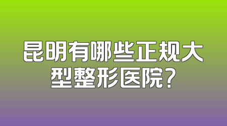 昆明有哪些正规大型整形医院？