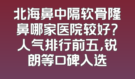 北海鼻中隔软骨隆鼻哪家医院较好？人气排行前五，锐朗等口碑入选