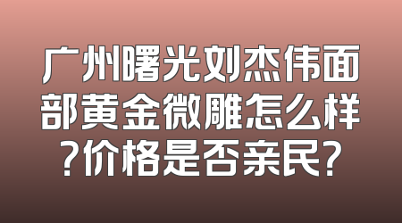 广州曙光刘杰伟面部黄金微雕怎么样？价格是否亲民？