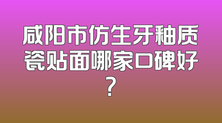 咸阳市仿生牙釉质瓷贴面哪家口碑好？