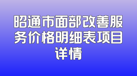 昭通市面部改善服务价格明细表项目详情