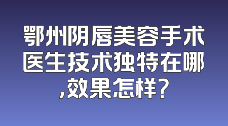鄂州阴唇美容手术医生技术独特在哪，效果怎样？