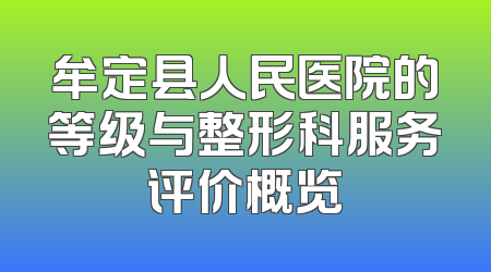 牟定县人民医院的等级与整形科服务评价概览