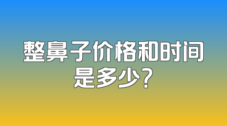 整鼻子价格和时间是多少？
