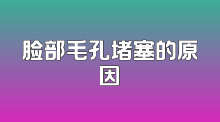 脸部毛孔堵塞的原因
