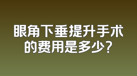 眼角下垂提升手术的费用是多少？