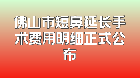 佛山市短鼻延长手术费用明细正式公布
