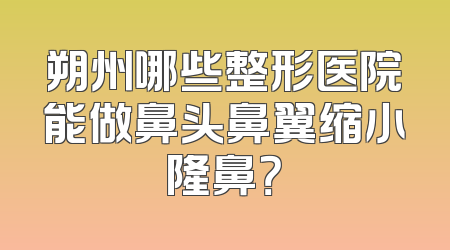 朔州哪些整形医院能做鼻头鼻翼缩小隆鼻？