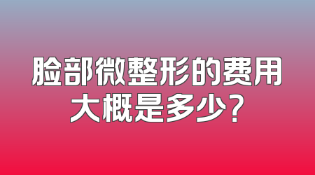 脸部微整形的费用大概是多少？