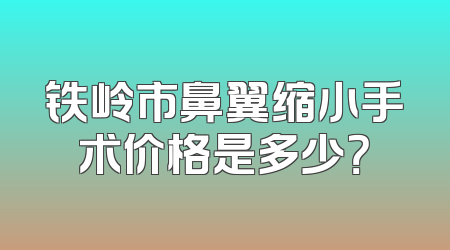 铁岭市鼻翼缩小手术价格是多少？