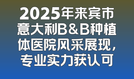 2025年来宾市意大利B&B种植体医院风采展现，专业实力获认可