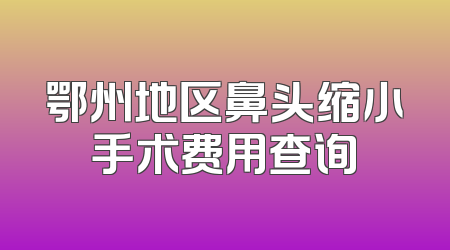 鄂州地区鼻头缩小手术费用查询