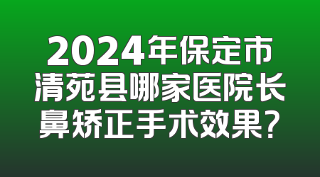 2024年保定市清苑县哪家医院长鼻矫正手术效果？
