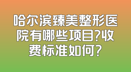 哈尔滨臻美整形医院有哪些项目？收费标准如何？