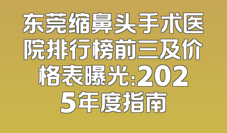 东莞缩鼻头手术医院排行榜前三及价格表曝光：2025年度指南