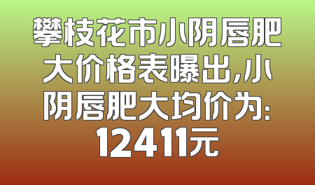 攀枝花市小阴唇肥大价格表曝出，小阴唇肥大均价为：12411元