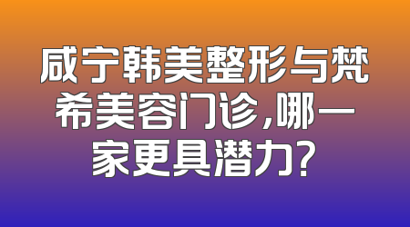 咸宁韩美整形与梵希美容门诊，哪一家更具潜力？