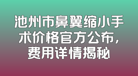 池州市鼻翼缩小手术价格官方公布，费用详情揭秘