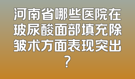河南省哪些医院在玻尿酸面部填充除皱术方面表现突出？
