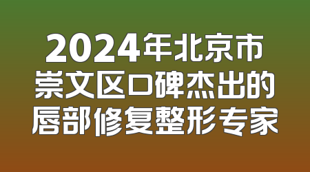 2024年北京市崇文区口碑杰出的唇部修复整形专家