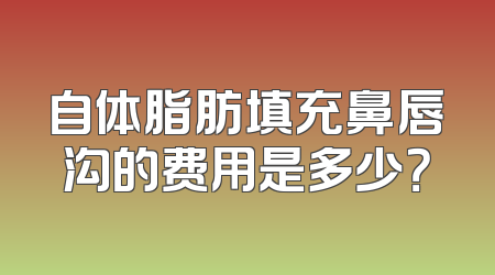 自体脂肪填充鼻唇沟的费用是多少？