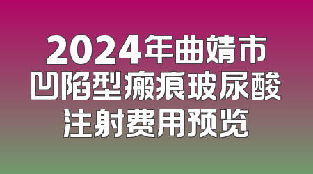 2024年曲靖市凹陷型瘢痕玻尿酸注射费用预览