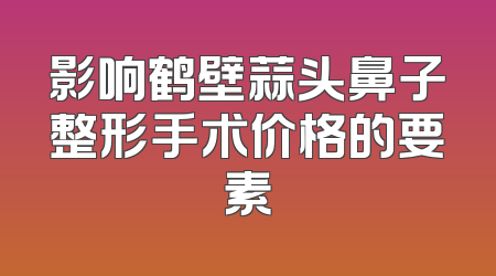 影响鹤壁蒜头鼻子整形手术价格的要素