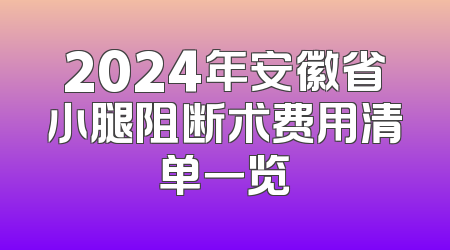 2024年安徽省小腿阻断术费用清单一览