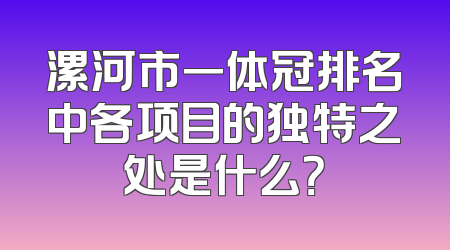 漯河市一体冠排名中各项目的独特之处是什么？