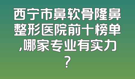 西宁市鼻软骨隆鼻整形医院前十榜单，哪家专业有实力？