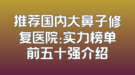 推荐国内大鼻子修复医院：实力榜单前五十强介绍