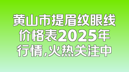 黄山市提眉纹眼线价格表2025年行情，火热关注中