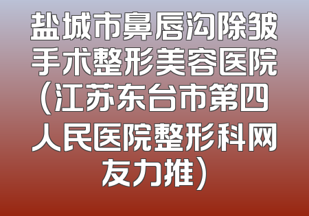 盐城市鼻唇沟除皱手术整形美容医院(江苏东台市第四人民医院整形科网友力推)
