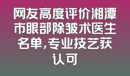 网友高度评价湘潭市眼部除皱术医生名单，专业技艺获认可