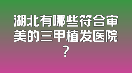 湖北有哪些符合审美的三甲植发医院？
