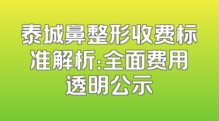 泰城鼻整形收费标准解析：全面费用透明公示