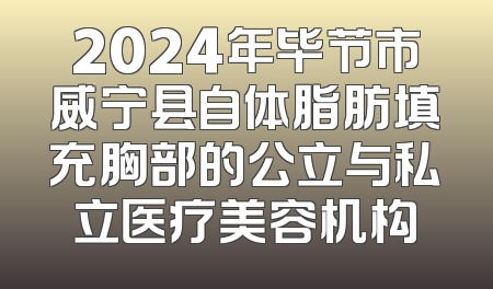 2024年毕节市威宁县自体脂肪填充胸部的公立与私立医疗美容机构