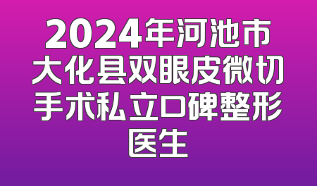 2024年河池市大化县双眼皮微切手术私立口碑整形医生