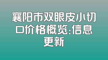 襄阳市双眼皮小切口价格概览：信息更新