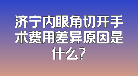 济宁内眼角切开手术费用差异原因是什么？