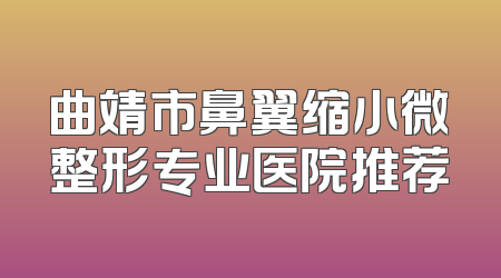 曲靖市鼻翼缩小微整形专业医院推荐