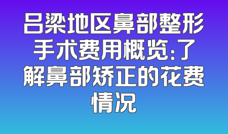 吕梁地区鼻部整形手术费用概览：了解鼻部矫正的花费情况