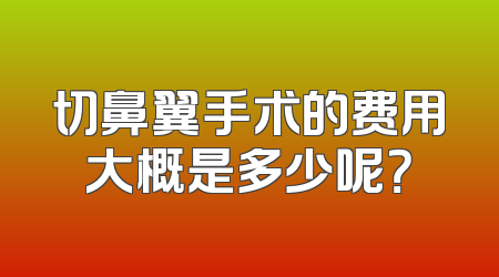 切鼻翼手术的费用大概是多少呢？